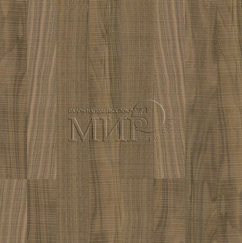   CorkStyle Wood XL Click Milan Nut