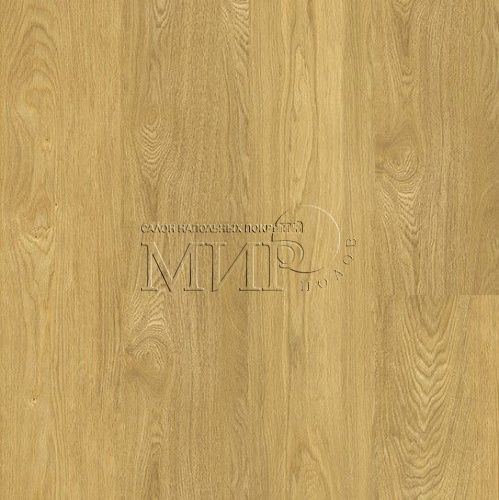   CorkStyle Wood XL Click Oak Deluxe